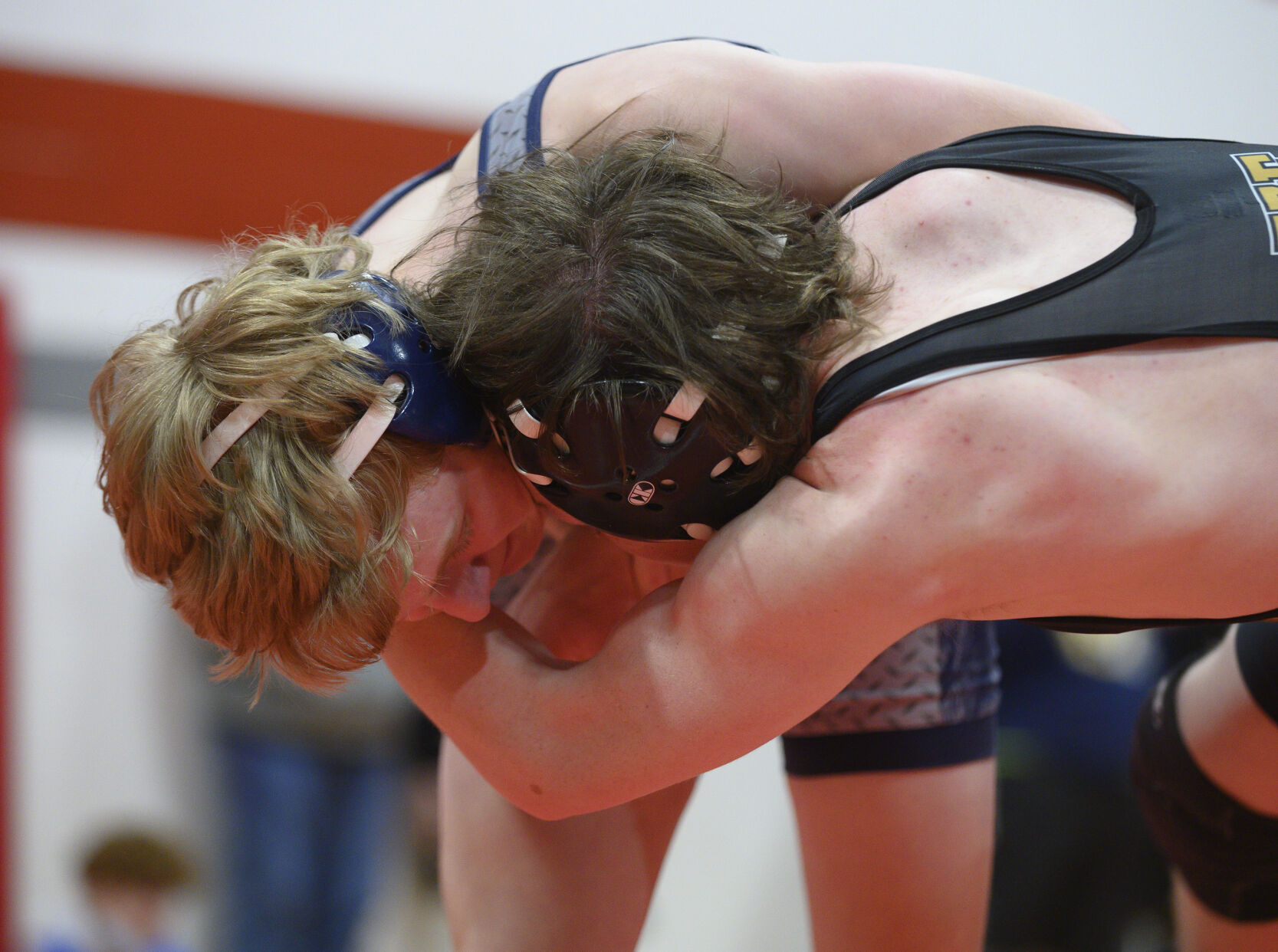 Gateway Athletic Conference North/Central tournament
